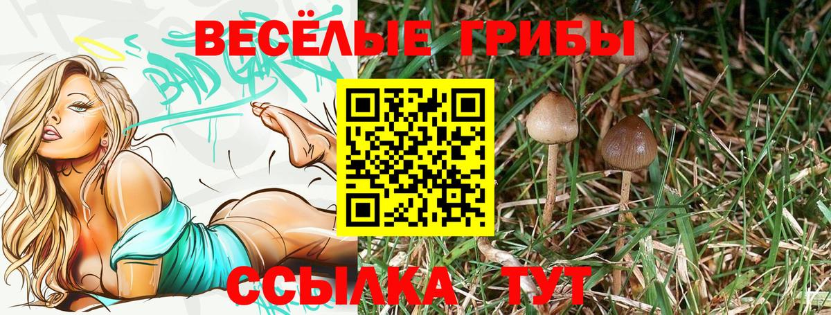 Ялта  Галлюциногенные грибы Magic Shrooms  Вход с VPN 