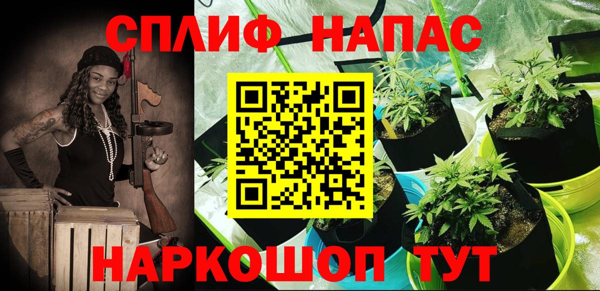Ялта  Марихуана конопля  Каннабис сатива  Вход с VPN  Бошки Шишки сатива  Марихуана White Widow 